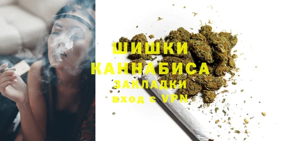 МДПВ Богородск