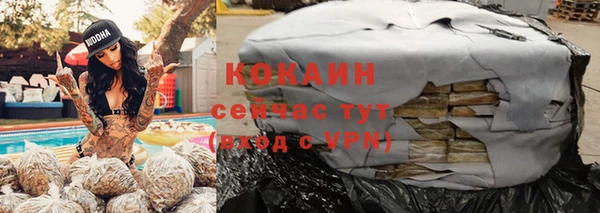 МДПВ Богородск