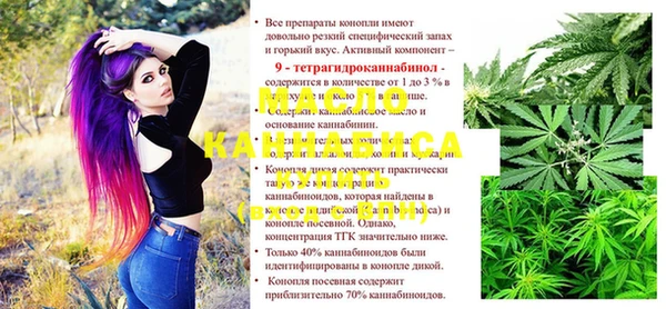 МДПВ Богородск