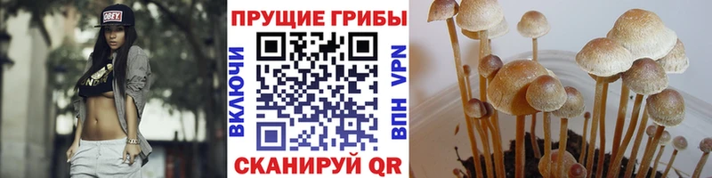 Галлюциногенные грибы прущие грибы Баксан