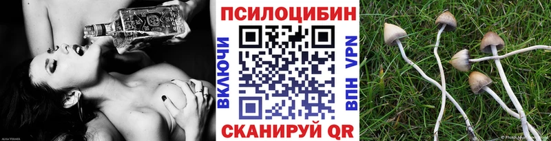 Псилоцибиновые грибы Magic Shrooms  как найти закладки  Баксан 